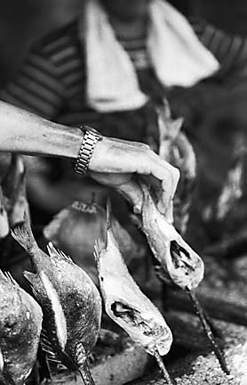 Fish-on-a-Stick