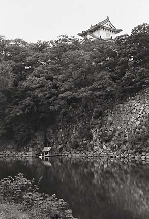 Himeji and Swan