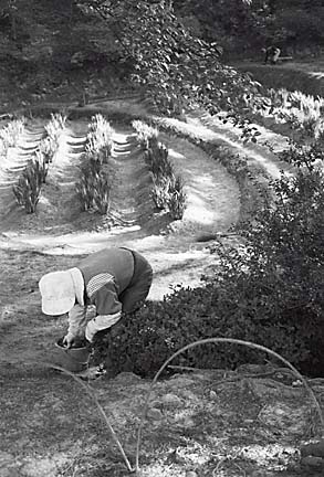 Farmers