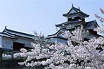 Shirakawa Castle