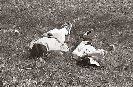 Summer Nap