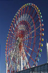 Aomi Big Wheel