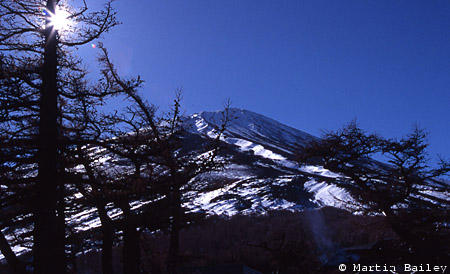 Mt. Fuji