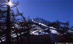 Mt. Fuji
