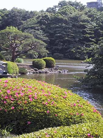 Shinjuku Gyoen