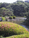 Shinjuku Gyoen