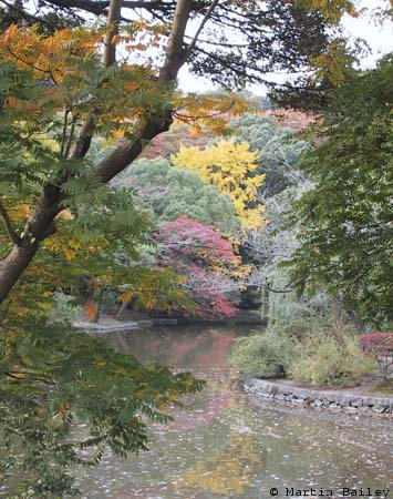 Kamakura Kouyou