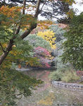 Kamakura Kouyou