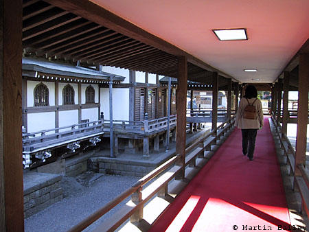 Raised Walkway