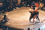 On the Ropes