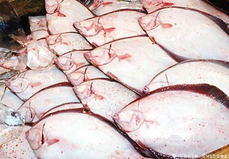 Fish