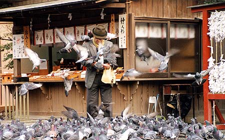 Birdman
