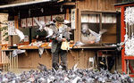 Birdman
