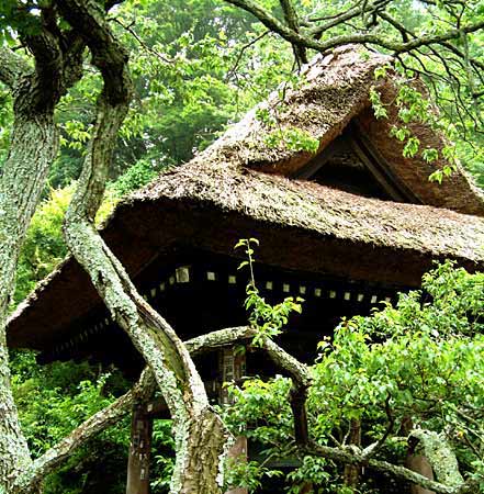 Temple Bell House