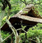 Temple Bell House