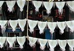 Squid Drying