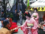 Geisha Serving Tea