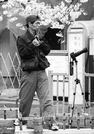 Hanami Photographer