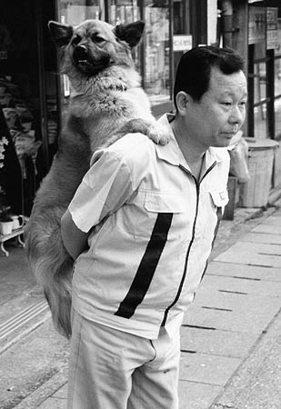 Piggyback