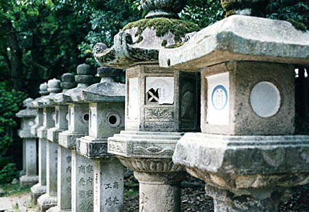 Stone Lanterns at Kasuga Grand Shrine