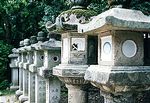 Stone Lanterns at Kasuga Grand Shrine