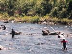 Ayu Fishing