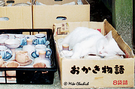 Pottery Bed